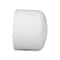 Charlotte Pipe And Foundry Charlotte Pipe Schedule 40 4 in. Slip X 4 in. D Slip PVC Cap 1 pk PVC 02116 2000 - alternate 3